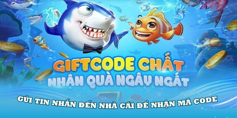 Thành viên có thể gửi tin nhắn đến nhà cái để nhận mã code