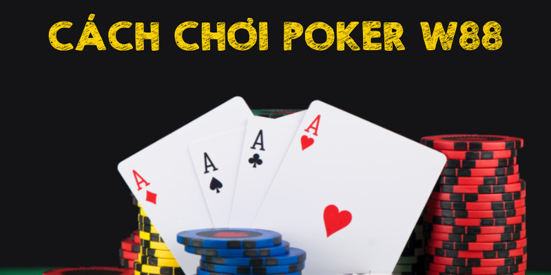 Hướng dẫn chi tiết cách chơi bài Poker cho newbie mới học tập